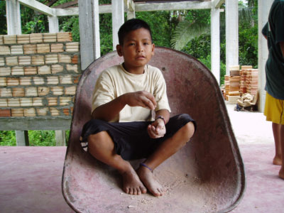 PB010036