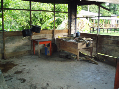 PB010051