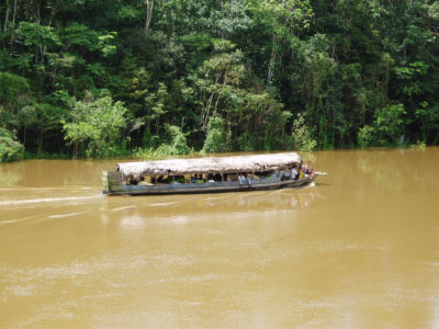 PB020061